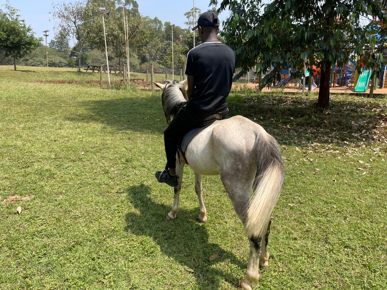 Rider with Guide