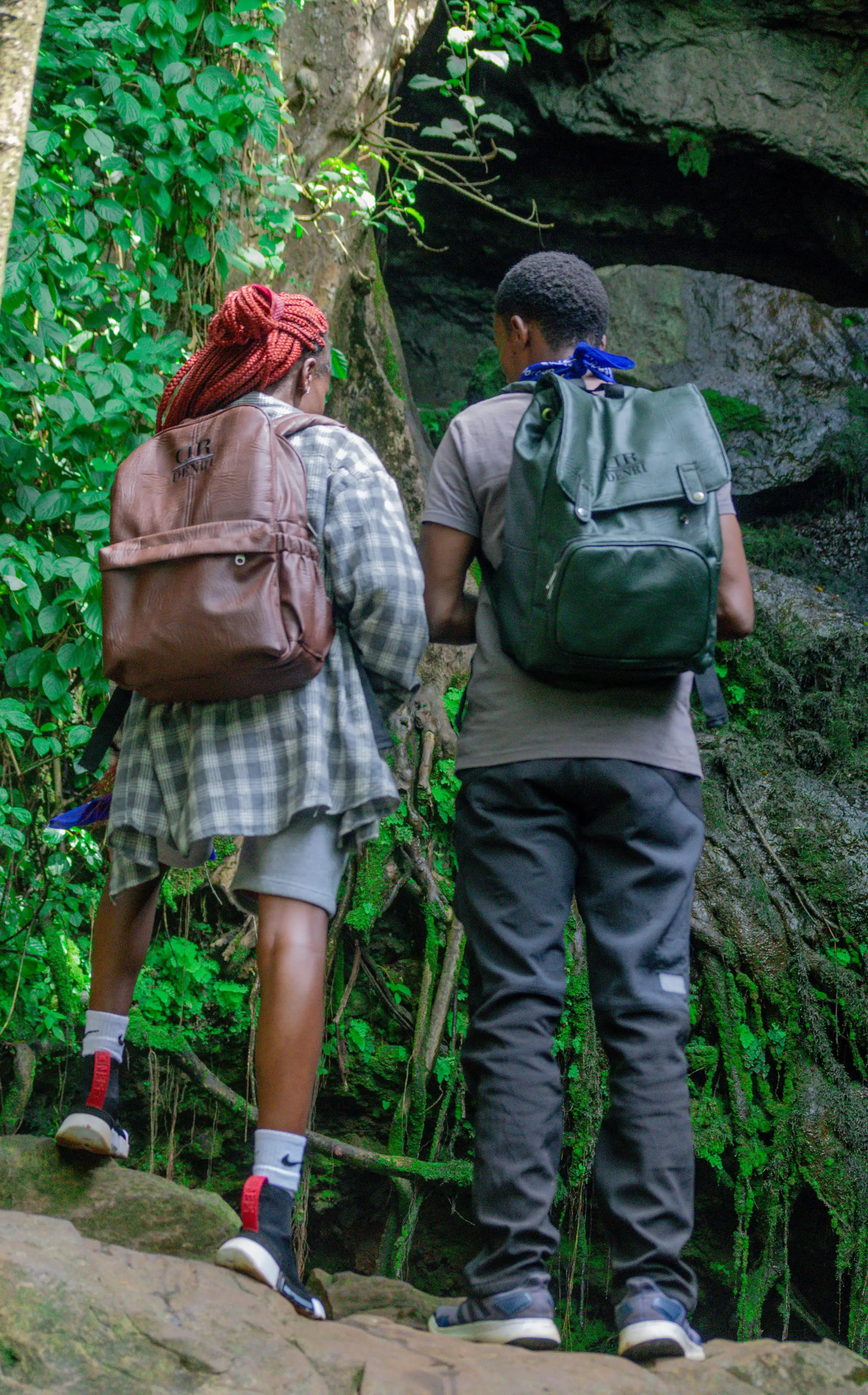 Visitors walking under tree canopy